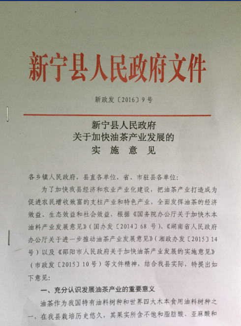 �����������������ڼӿ��Ͳ��ҵ��չ��ʵʩ���1