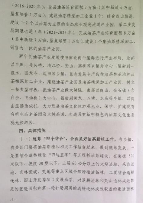 �����������������ڼӿ��Ͳ��ҵ��չ��ʵʩ���3